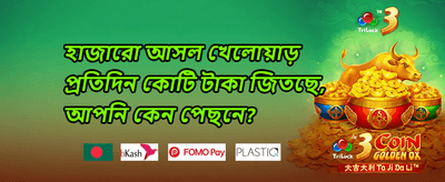 স্লট স্পিন মেগা বোনাস 🎰