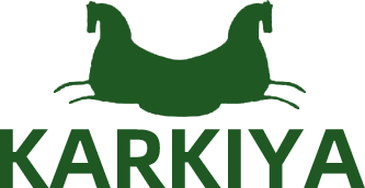 bdkarkiya.net Logo